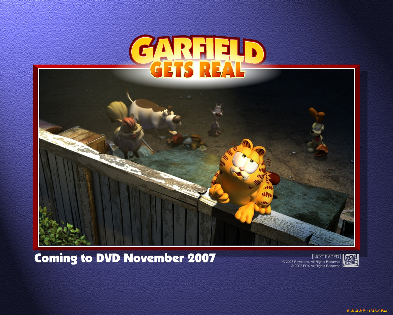 , garfield